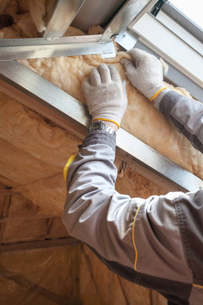Best Fiberglass Insulation in Tavares, FL