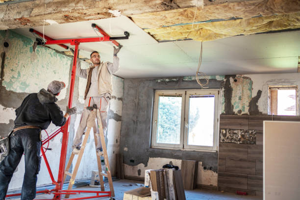 Best Geographic-Specific Insulation Services in Tavares, FL