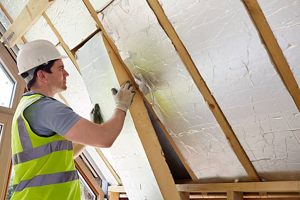 Best Blown-in Insulation in Tavares, FL