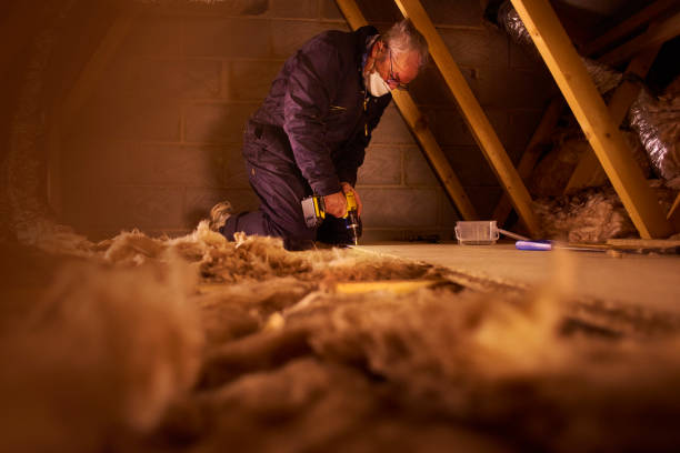 Best Insulation Maintenance and Repair in Tavares, FL